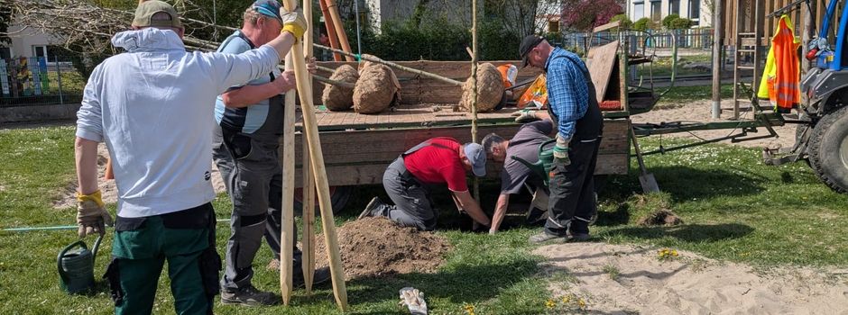 Pflanzaktion der Ortsgemeinde - 
Tag des Baumes 