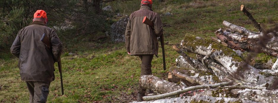 Drückjagd in Fremersdorf: Wichtige Informationen