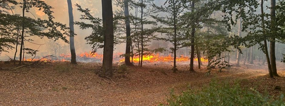 Brand bei Bad Schwalbach: Umstürzende Bäume erschweren Löscharbeiten