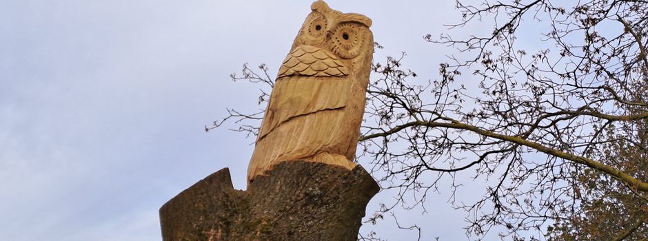 Eine Eule wacht jetzt über Bremers Garten