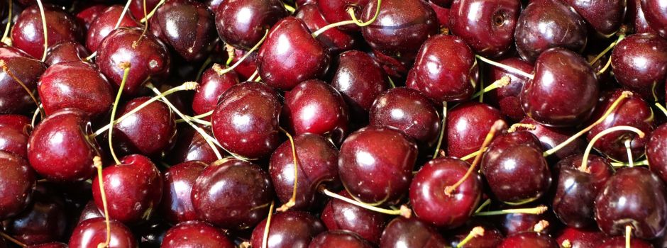 Unglaubliche Menge Kirschen von Mainzer Obstfeld gestohlen