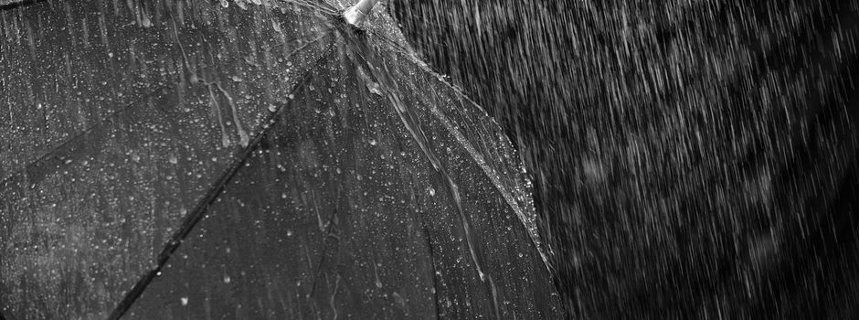 Starkregengefahrenkarten für Elztal, Fahrenbach und Limbach jetzt online