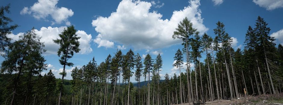 Weltwirtschaft droht durch Klimafolgen stark zu schrumpfen