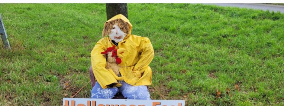 Die Halloweenvorbereitungen sind angelaufen 👻