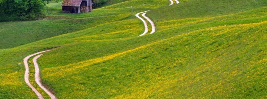 Arbeiten am geplanten Wanderweg in Birkheim am Samstag 26.Oktober 2024 09.00 Uhr am Gemeindehaus Birkheim