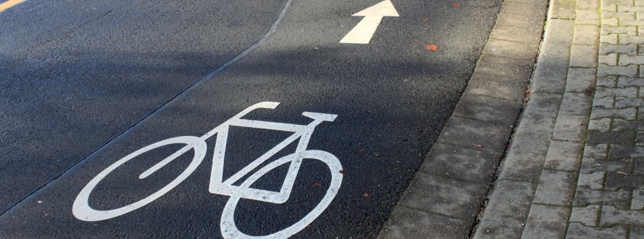 Hund läuft vor Fahrrad – Mann mit Knochenbrüchen in Klinik gebracht