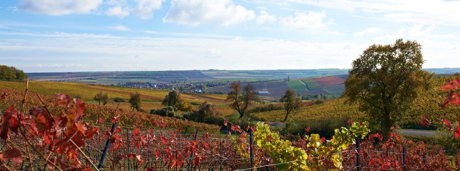 Neue Tourismusstrategie für Rheinhessen vorgestellt