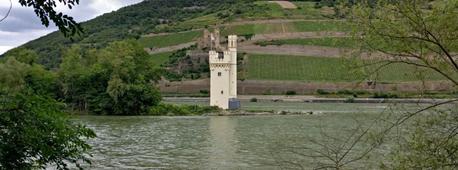 Binger Mäuseturm kann wieder besichtigt werden