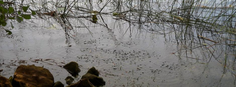 60 Erdbeben in 12 Stunden: Erdbebenserie am Laacher See