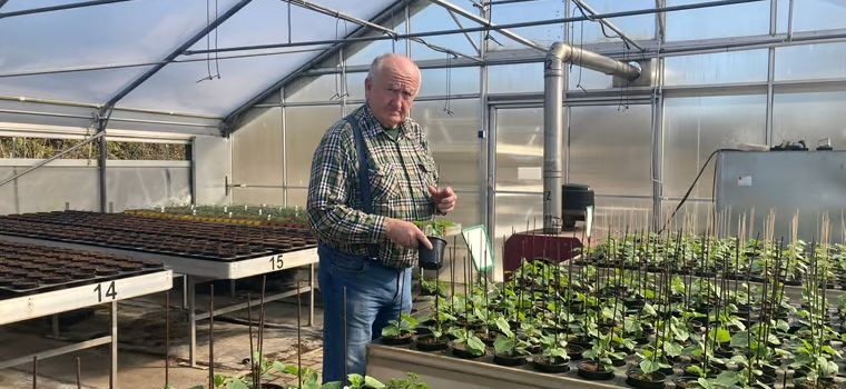 Gärtnerei Hagedorn sucht Nachfolger