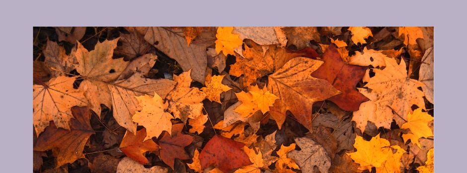 Der Herbst ist da - Zeit für bunte Blätter und ein bisschen Ordnung