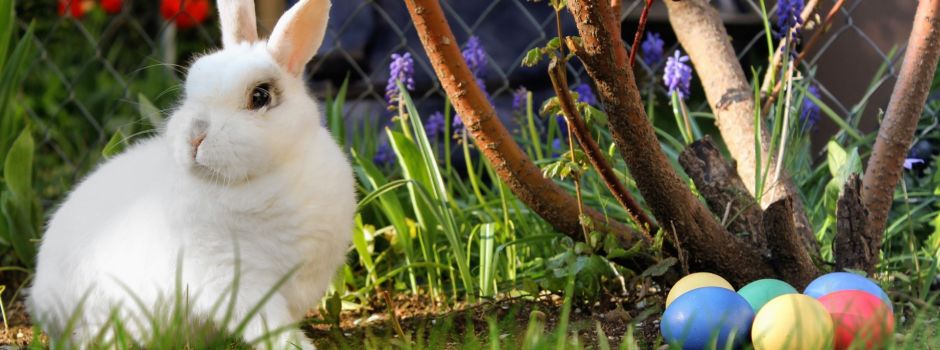 Frohe Ostern?!