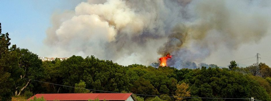 🔥 WALDBRANDGEFAHR ⚠️ Achtung in Baden-Württemberg! Sehr hohe Waldbrandgefahr – bitte besonders vorsichtig sein!