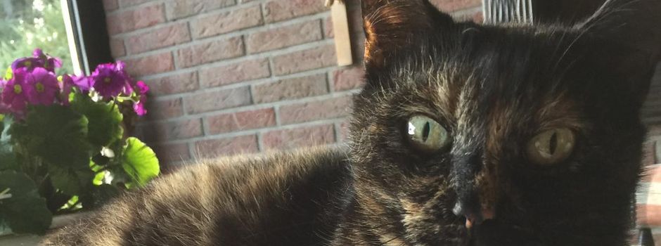 Mausi ist wieder da!
