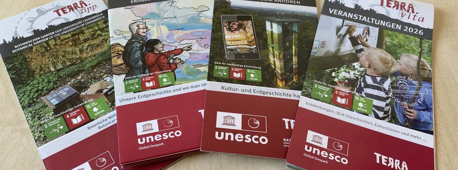 Was haben Millionen Jahre Erdgeschichte mit Ihren Sommerferien zu tun?