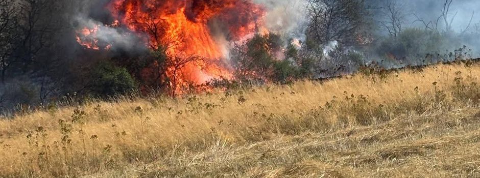 Großer Flächenbrand zwischen Schwollen und Leisel erfolgreich eingedämmt