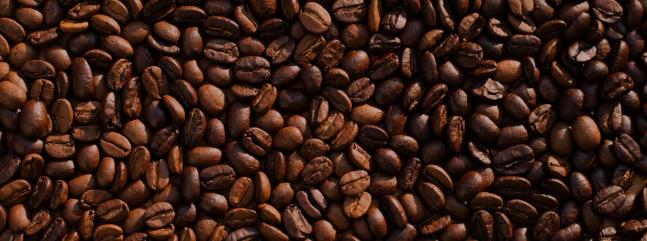 Augsburger Kaffee-Startup über Fairtrade