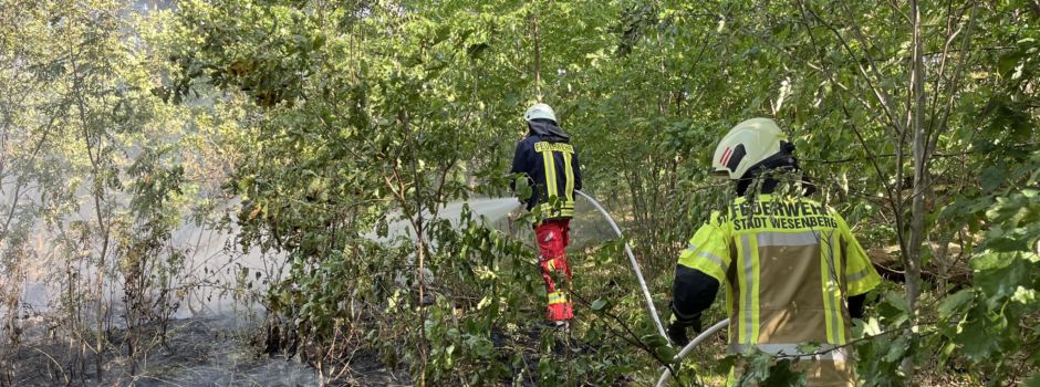 Waldbrand nahe Havelberge gelöscht