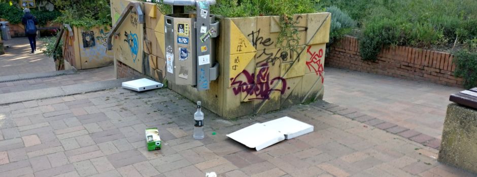 Gemeinsames Müllsammeln in Mainz