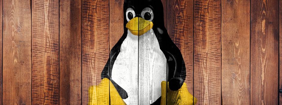 Linux neu entdecken: Die kostenlose Alternative für ältere PCs