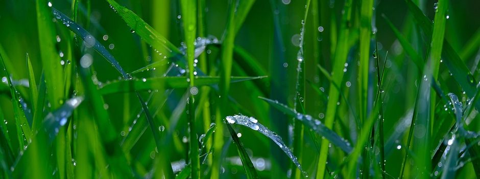 Naturschutz in Ilbenstadt: Betretungsverbot für Niederwiesen