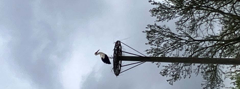 Pünktlich zum Osterfest