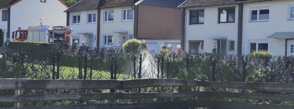Anwohner und Feuerwehrleute löschen brennende Hecke