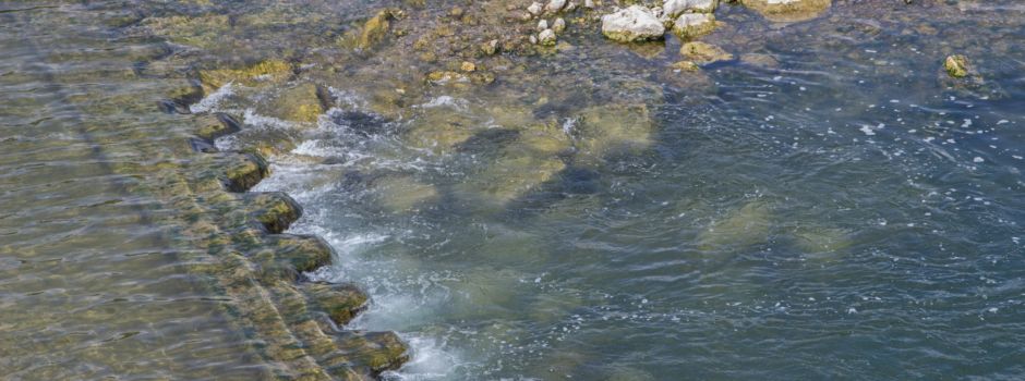 Was man in Augsburg-Hochzoll erleben kann