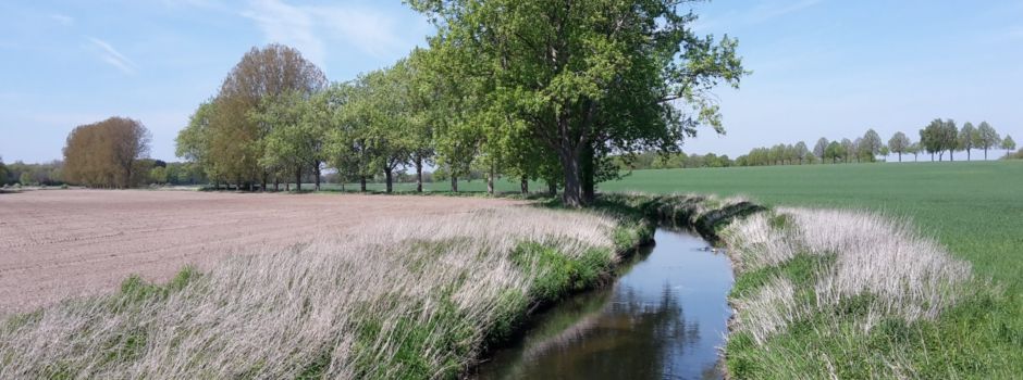 Leserbrief: "Baum und Plastikverpackung ist Einstellungssache"
