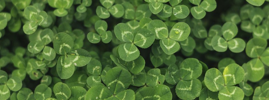 Stadt Rotenburg lädt zum Neujahrsempfang am 21. Januar ein