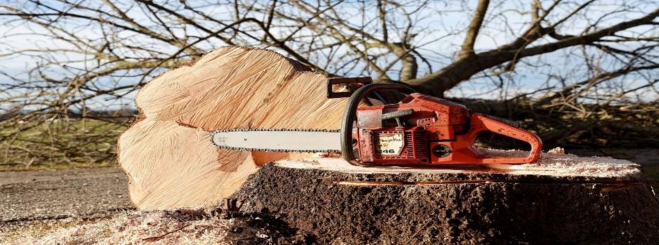 Kettensägenkurs 2024