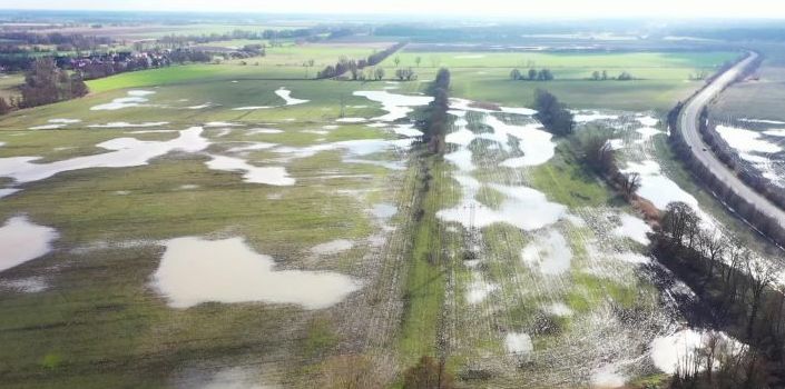 Niederschläge und gesättigte Böden führen zu überfluteten Äckern