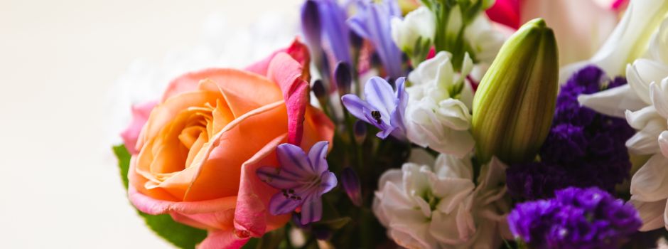 Ein Meer aus Blumen - 5 fabelhafte Blumenläden in Augsburg