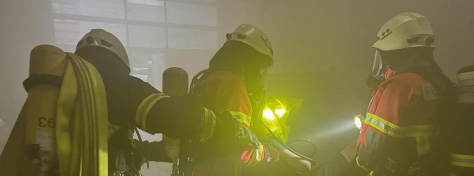 🚒🔥 Alarmübung Feuerwehr Billigheim-Ingenheim | Impflingen