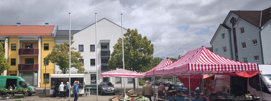 Herbstlich bunt und voller Genuss: RegioMARKT Friedland