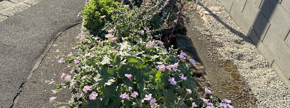 IG Maibaum im Einsatz für Kollig  🤝
