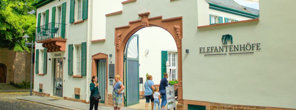 Wormser Weingeschichten