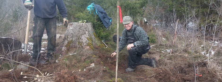 Wiederbewaldung am Kirchbrichskopf