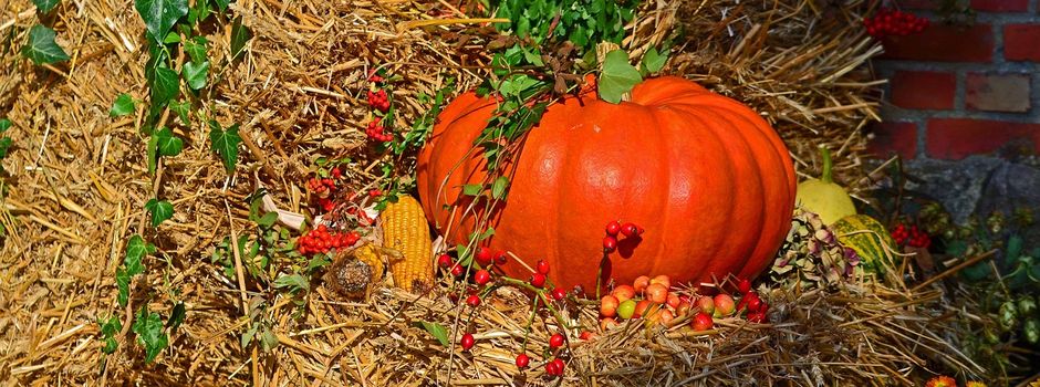 Einladung zum Erntefest