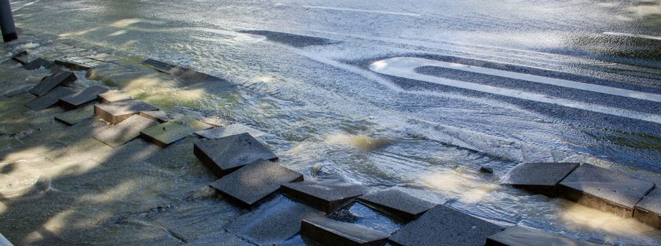 Wasserrohrbruch in Wiesbaden: 16 Meter hoher Baum drohte umzustürzen