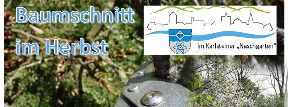 Baumschnittkurs im Karlsteiner Naschgarten