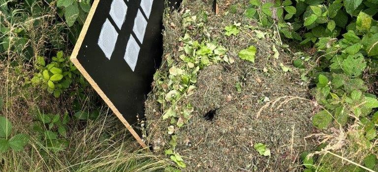 Illegale Grünabfallentsorgungen im Wald