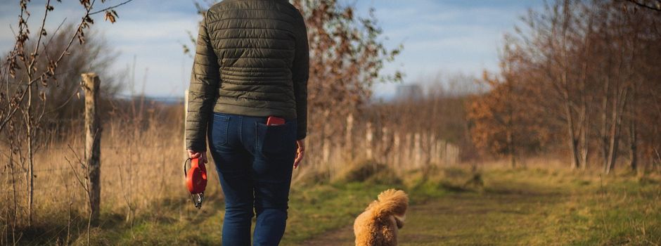 „Liebe Hundebesitzerinnen und Hundebesitzer, liebe Gassi-Gänger“