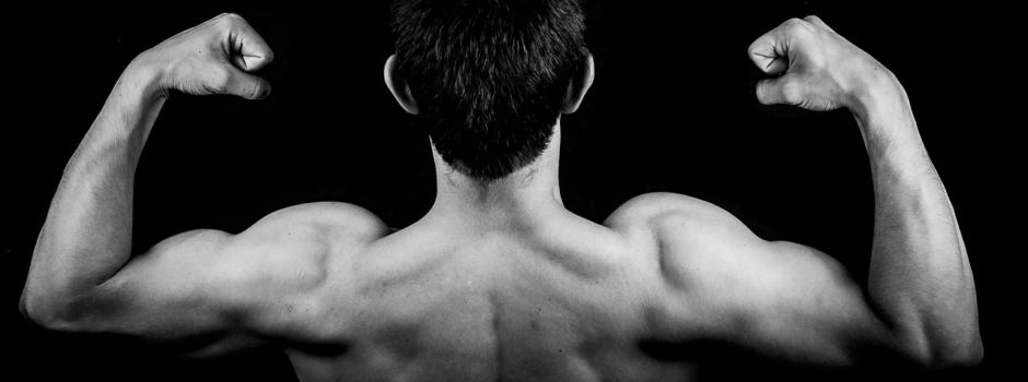 Stark wie Schwarzenegger: Mainzer Staatstheater sucht Bodybuilder