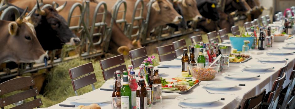 „HofGespräch“ stärkt den Dialog zwischen Landwirt/innen und Politiker/innen