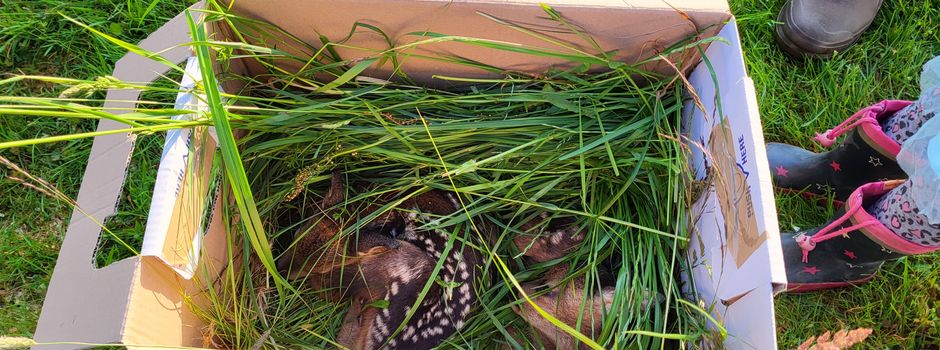 Neue Technik rettet Leben!