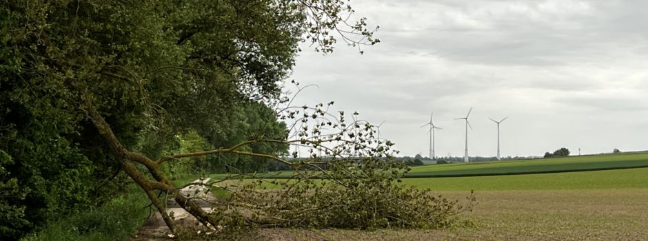 Astbruch Goldbach 3.5.25