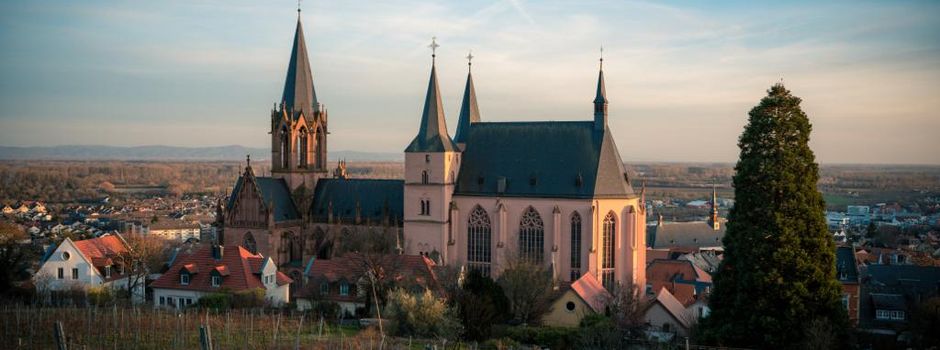 Das erwartet euch beim „Oppenheimer Frühling“