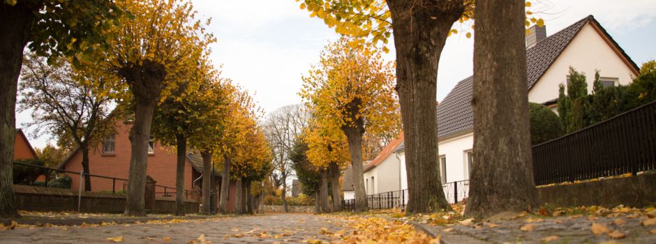 Entsorgung Herbstlaub