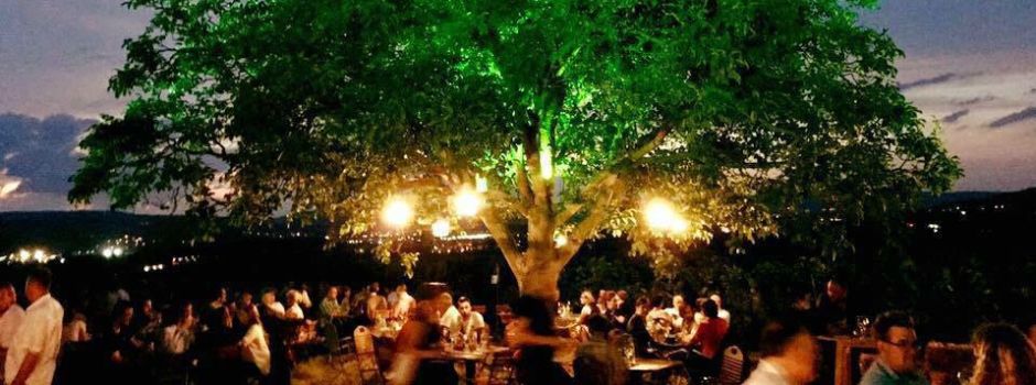 Fünf Winzer laden zum Weinfest in Rheinhessen